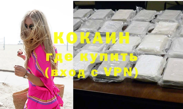 сатива Ростов