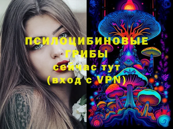mdma Протвино