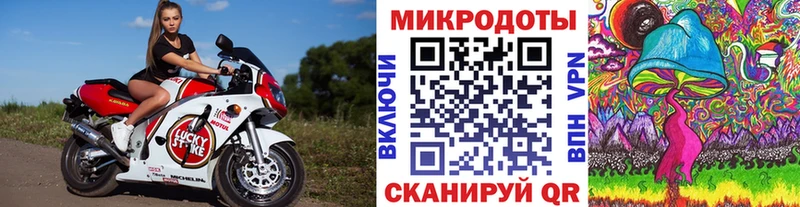 Галлюциногенные грибы мухоморы  кракен ССЫЛКА  Светлогорск 